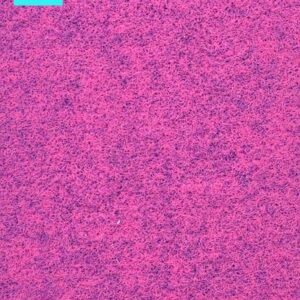 FINETT FEINWERK 753 502